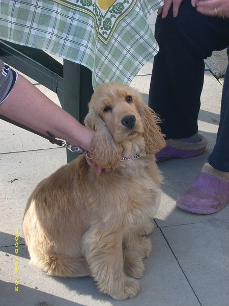 U Ježdíků (4).JPG